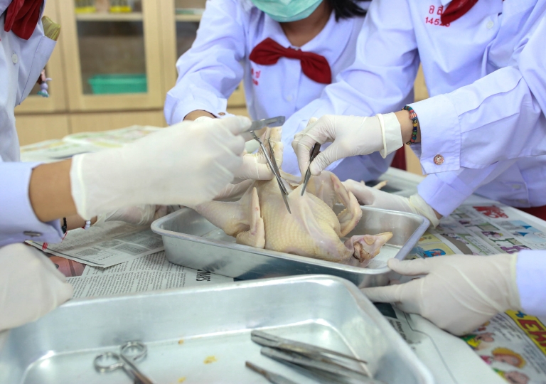 Biology Laboratory – Secondary 3 students enjoyed the experience of acting like a surgeon in the Study of the Reproductive system of the female chickens’ activity. 
