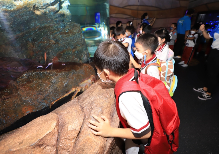 Sea Life Bangkok Ocean World – Primary 1 learners exhausted their energy having fun on the educational field trip on 3 November 2022. This was organized by the school together with Sea Life Bangkok Ocean World.