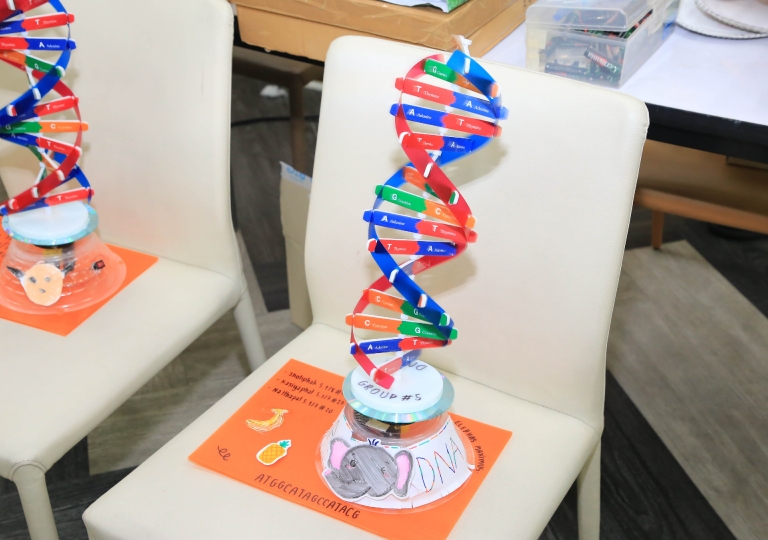 ACSP English Program invited Dr. Wannapong Taimpo, MUIC Associate Professor, and Professor Darapond for a three-session 3D STEM Modeling activity, about Covid-19 Virus, DNA, and other microorganisms.