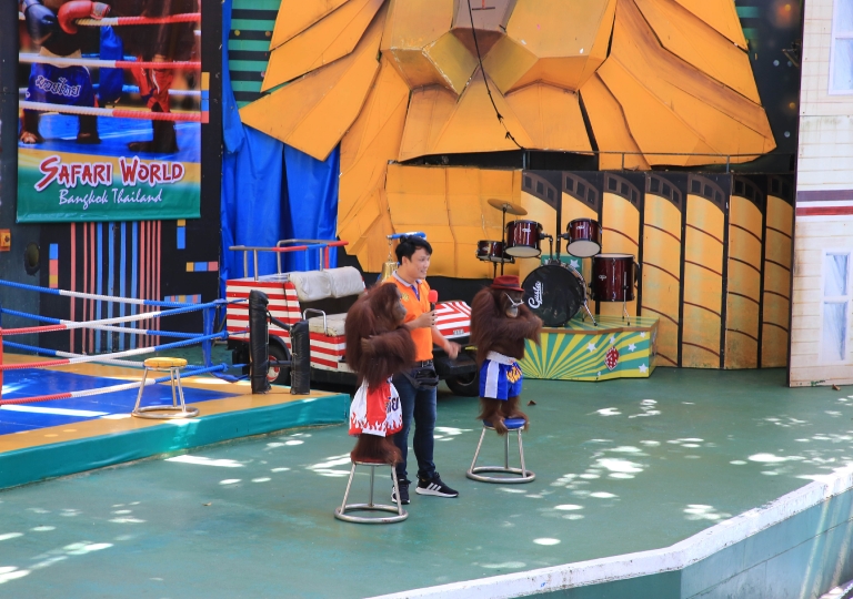 Primary 1 to 3 had a fun and exciting experience at the Children’s Museum in Chatuchak, the National Science Museum in Pathum Thani, and Safari World Bangkok on 25 October 2023.