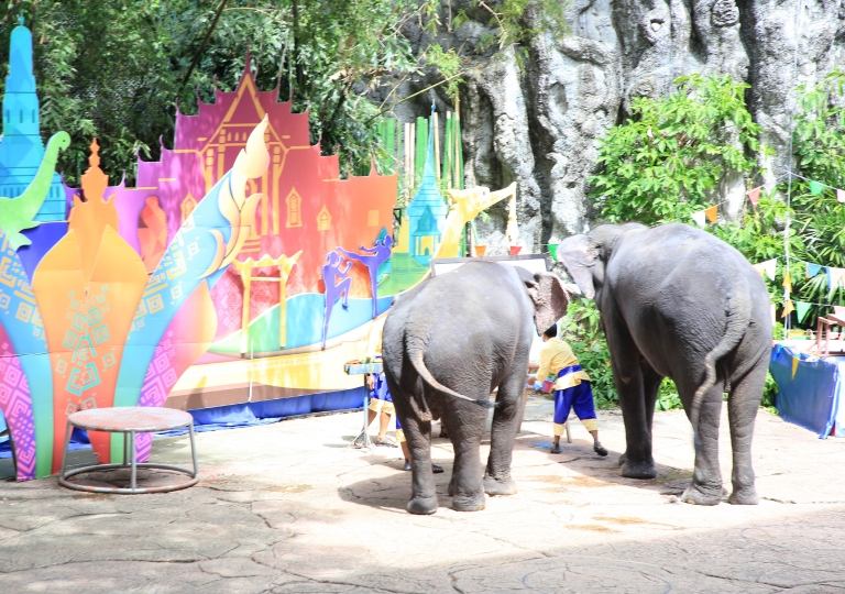 Primary 1 to 3 had a fun and exciting experience at the Children’s Museum in Chatuchak, the National Science Museum in Pathum Thani, and Safari World Bangkok on 25 October 2023.